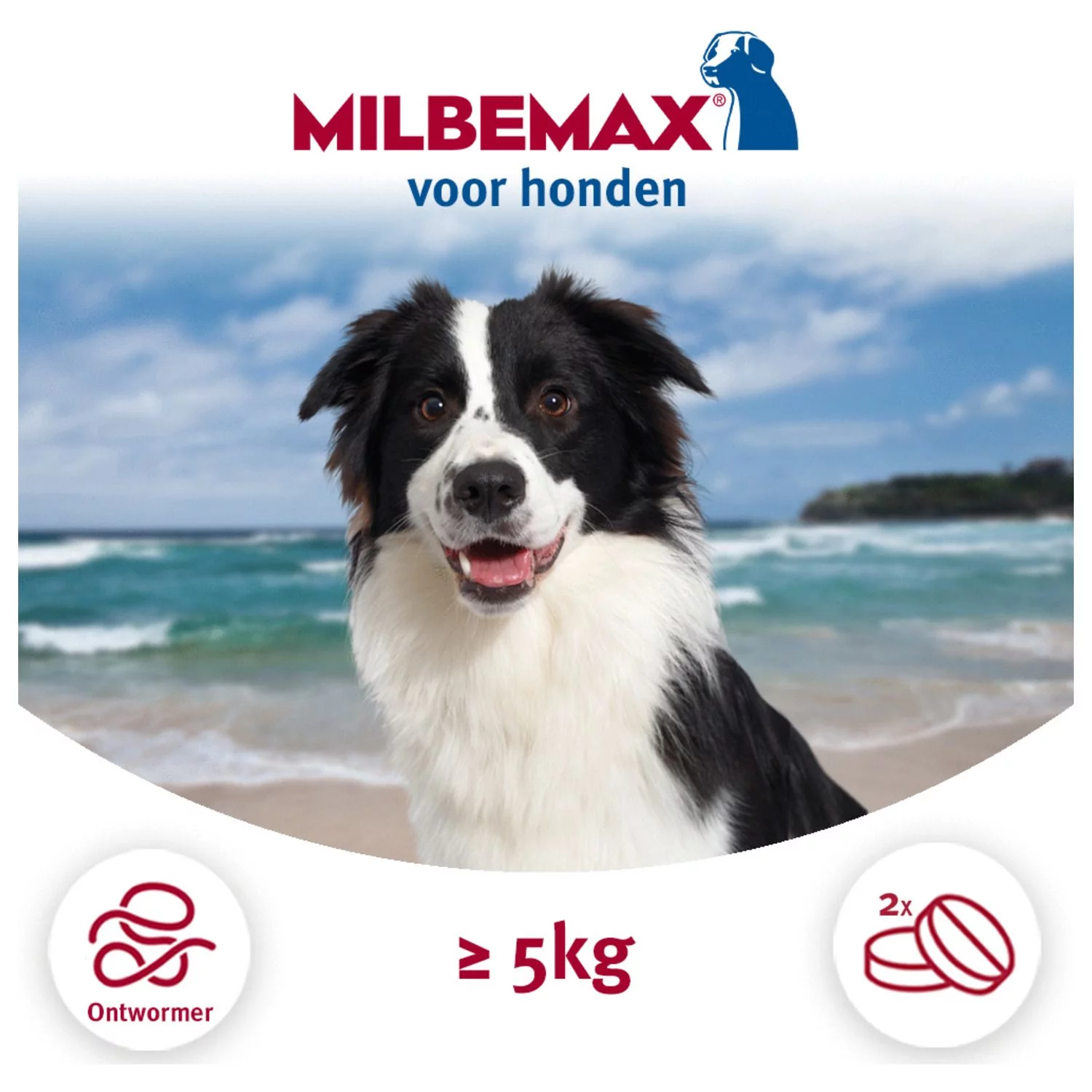 Milbemax Milbemax Hond - Anti Wormenmiddel - 2 Tab 10-50kg