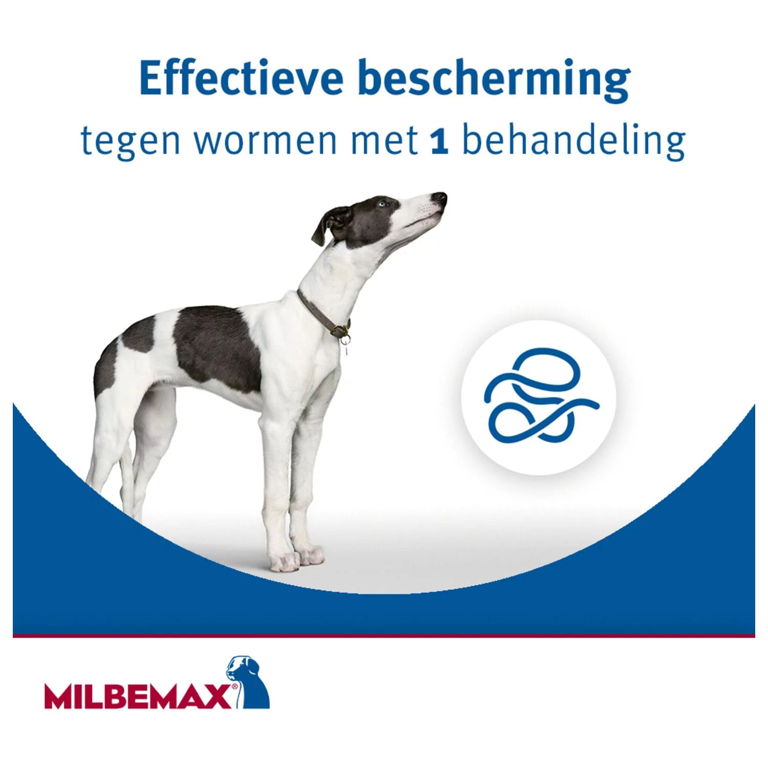Milbemax Milbemax Hond - Anti Wormenmiddel - 2 Tab 10-50kg - Afbeelding 2