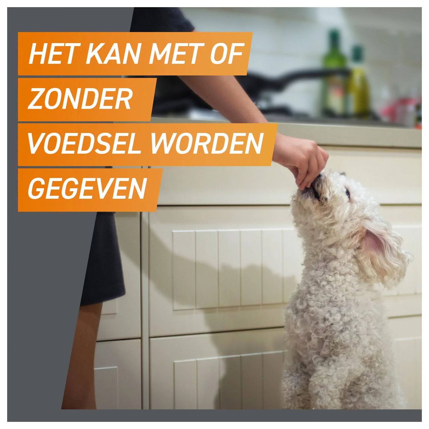 Frontpro Hond - Anti Vlooien En Tekenmiddel - >2-4 Kg Small - Afbeelding 7