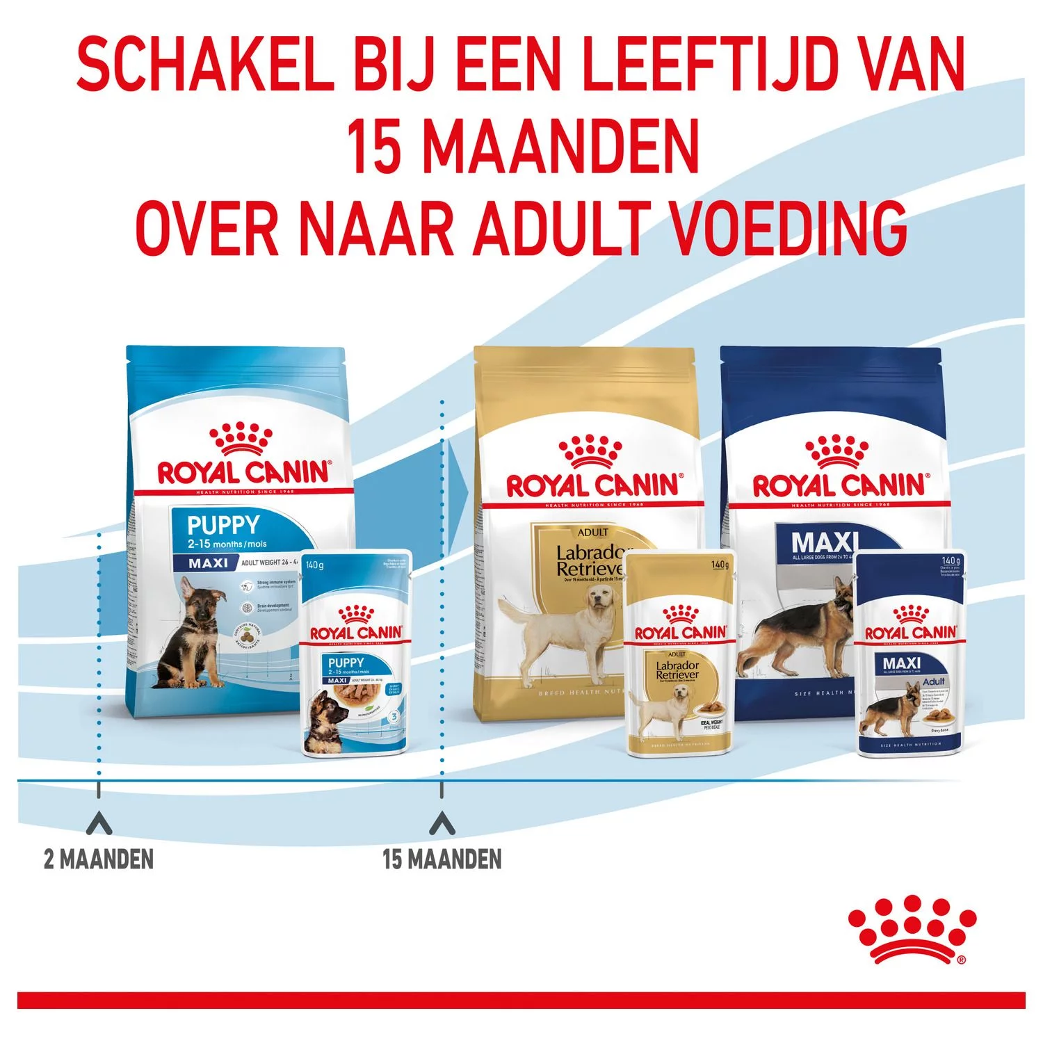 Royal Canin Maxi Natvoer - Puppy-Hondenvoer - 10x140 G - Afbeelding 8