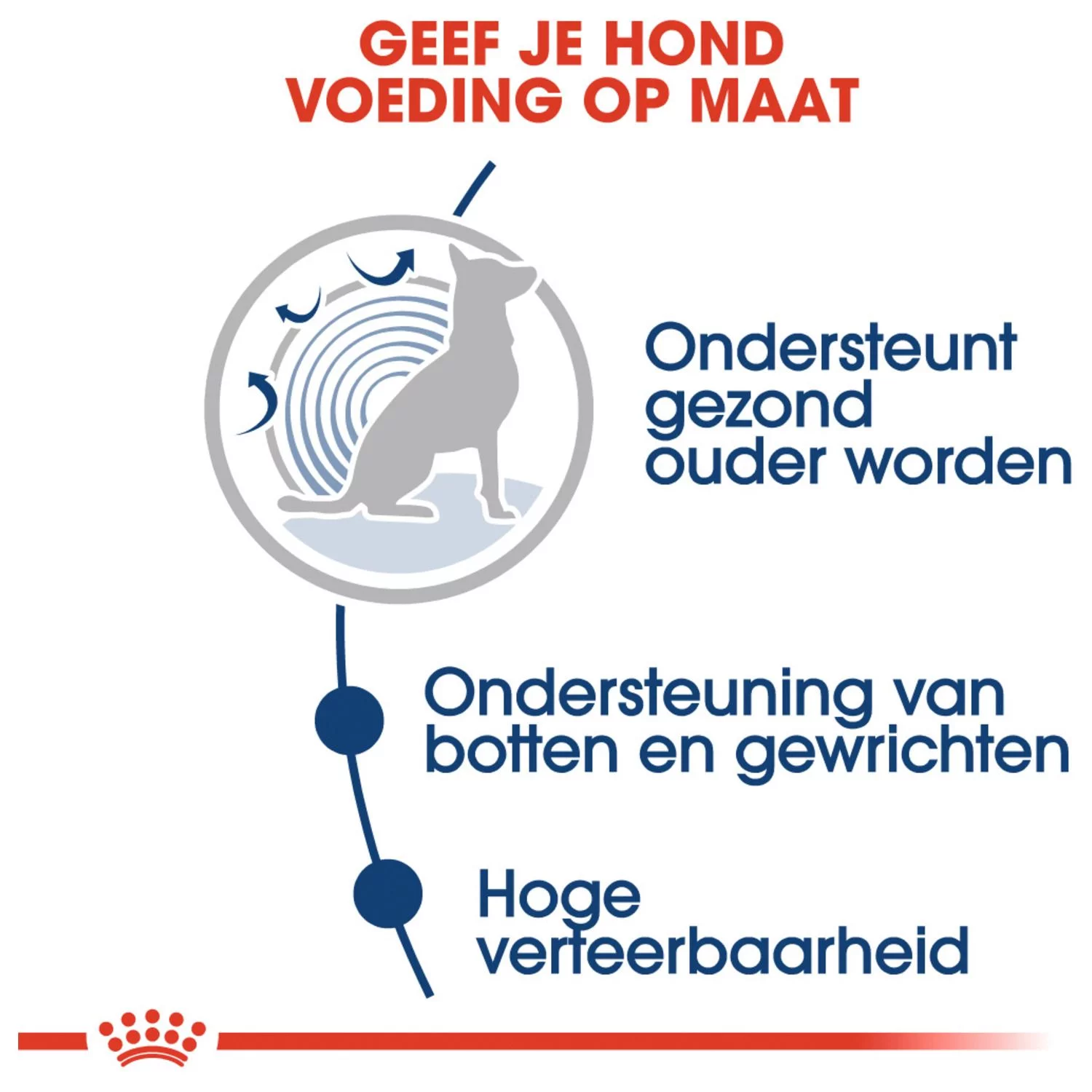 Royal Canin Maxi Ageing 8+ Natvoer - Hondenvoer - 10x140 G - Afbeelding 4