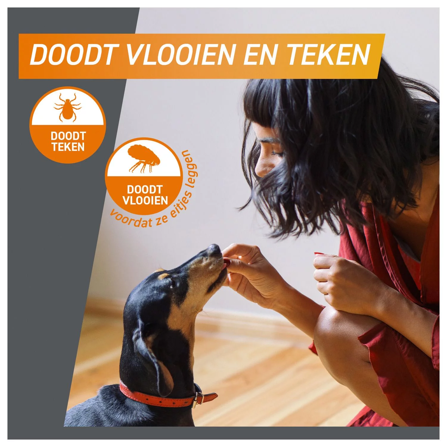 Frontpro Hond - Anti Vlooien En Tekenmiddel - >2-4 Kg Small - Afbeelding 4