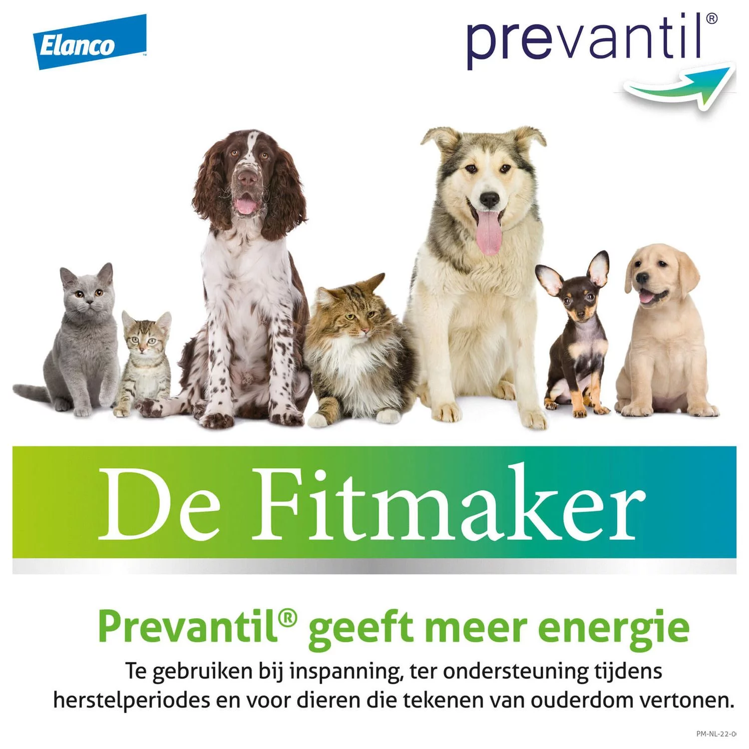 Elanco Prevantil Voor Hond En Kat - Voedingssupplement - Weerstand - 100 Ml - Afbeelding 2