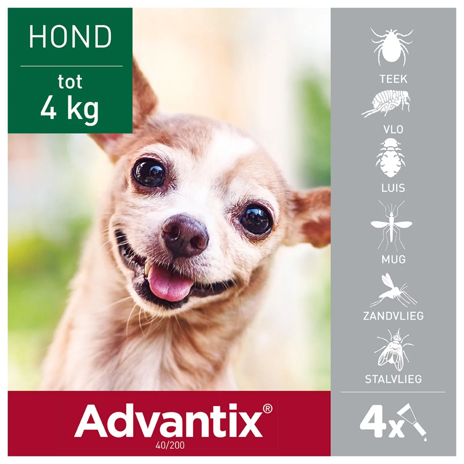 Advantix Spot On 40 0.4 Ml - Anti Vlooien En Tekenmiddel - Afbeelding 2
