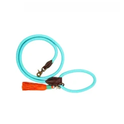 Dwam Looplijn Turquoise - Hondenriem