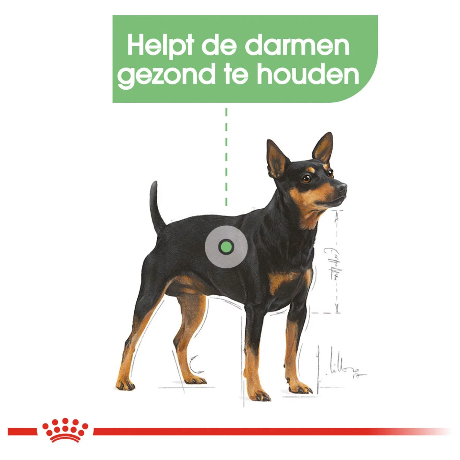 Royal Canin Digestive Care Natvoer - Hondenvoer - 12x85 G - Afbeelding 2