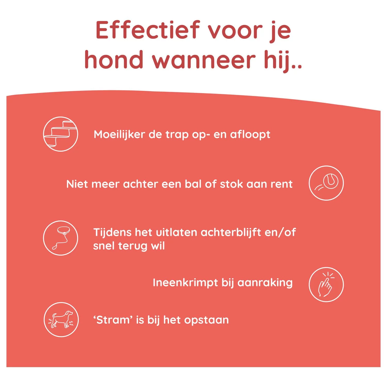 Greenfields Mobility+ - Voedingssupplement - 60 Caps - Afbeelding 3