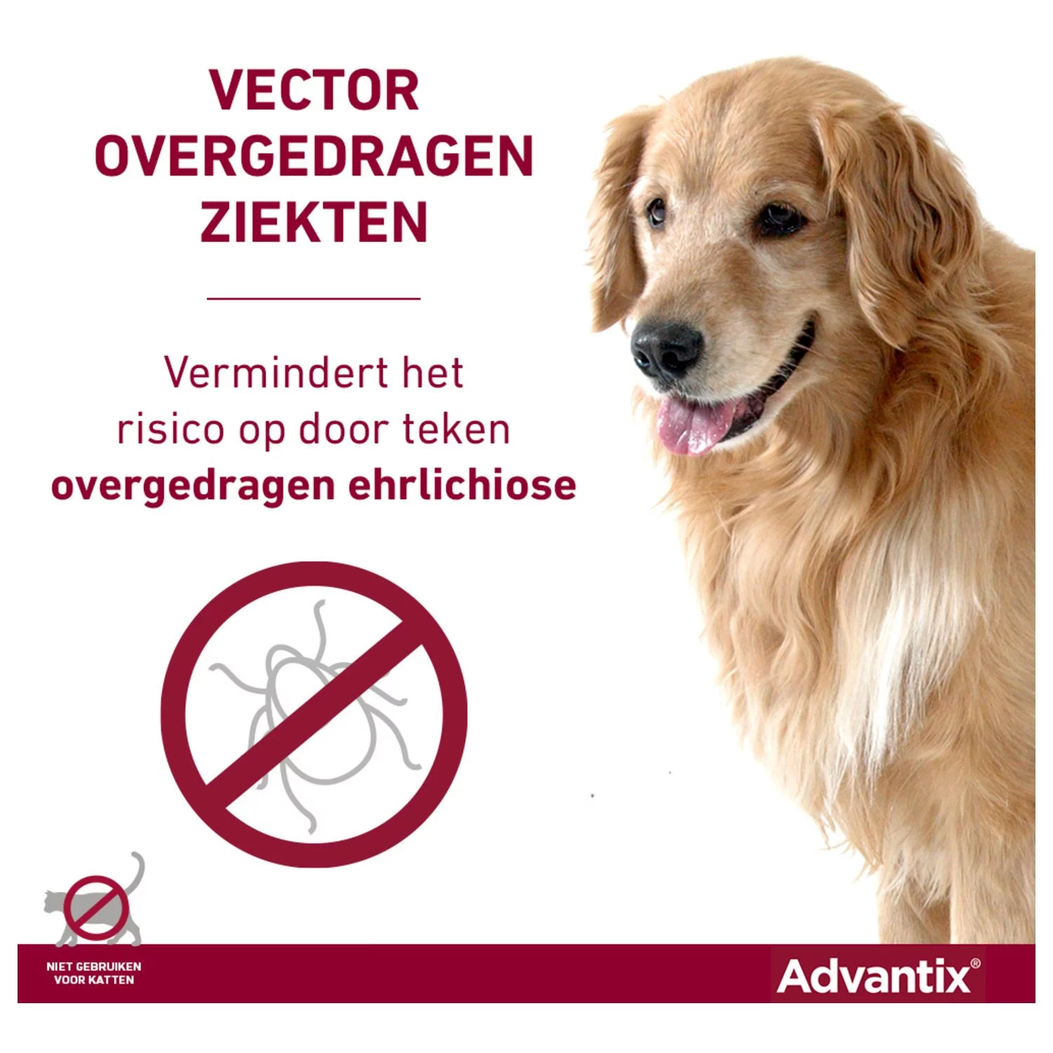 Advantix Spot On 400 4 Ml - Anti Vlooien En Tekenmiddel - Afbeelding 8