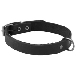 Adori Halsband Vetleder Met Print Zwart - Hondenhalsband