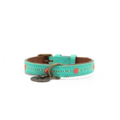 Dwam Halsband Janis Multi-Color - Hondenhalsband