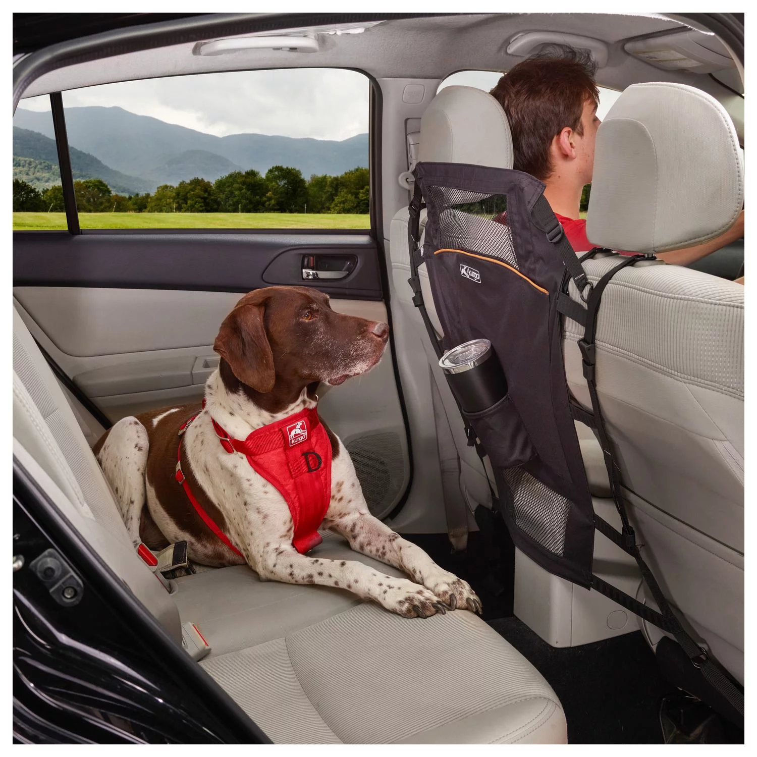 Kurgo Backseat Barrier - Hondenautoaccessoire - Zwart - Afbeelding 8