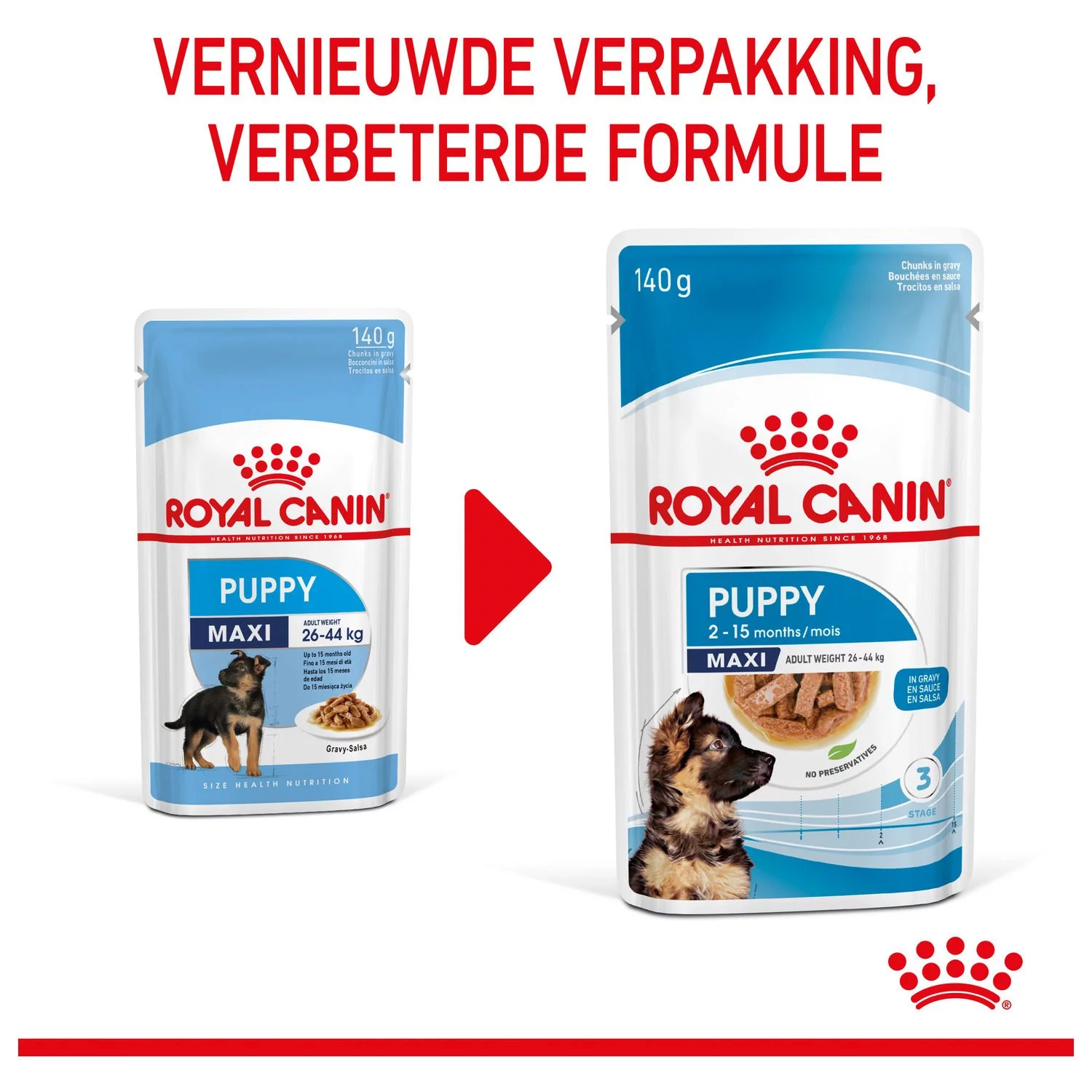 Royal Canin Maxi Natvoer - Puppy-Hondenvoer - 10x140 G - Afbeelding 10