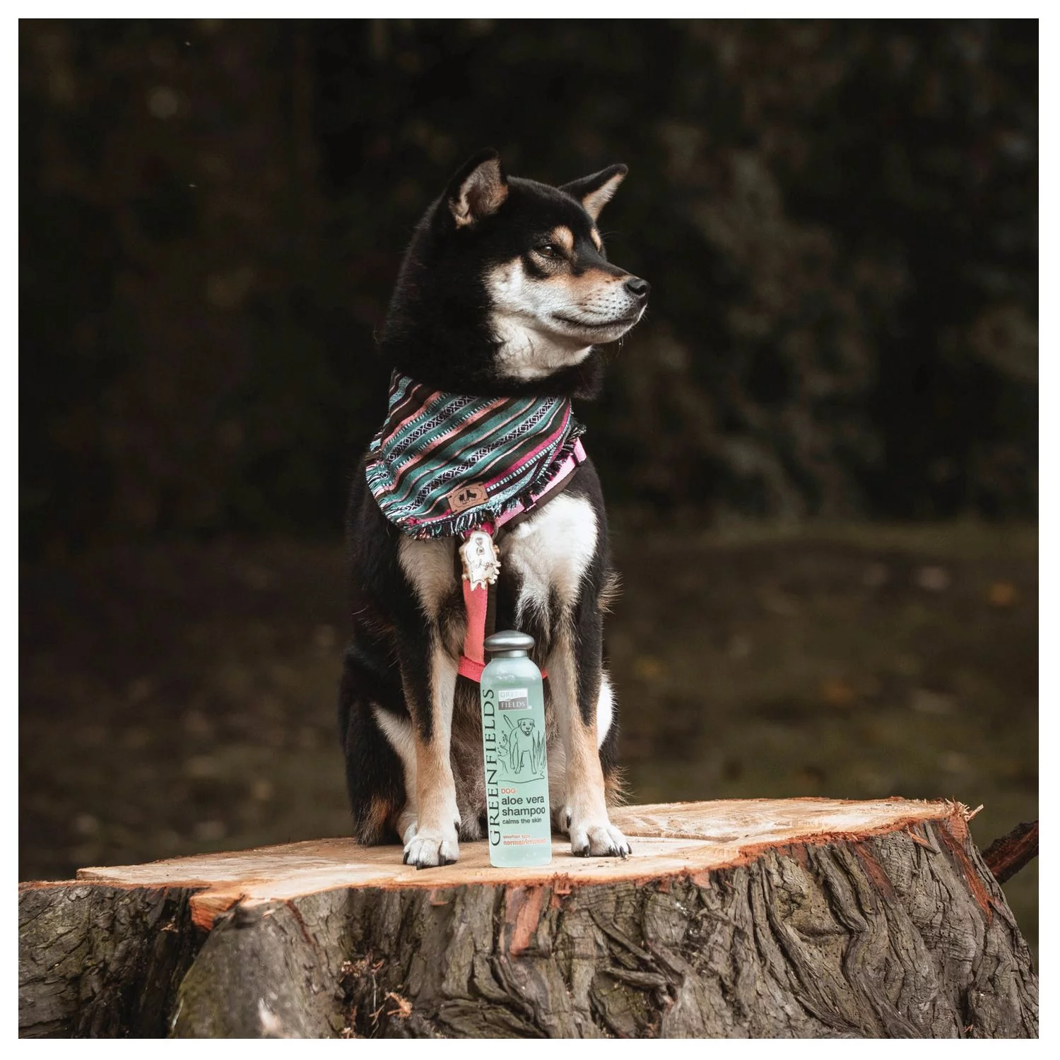 Greenfields Sensitive Care Set - Hondenvachtverzorging - 2x250 Ml - Afbeelding 3