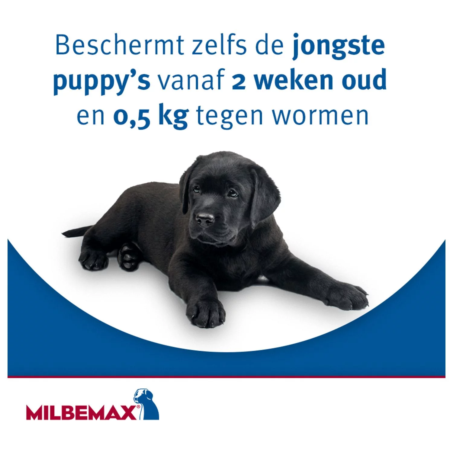 Milbemax Milbemax Hond - Anti Wormenmiddel - 2 Tab 10-50kg - Afbeelding 9