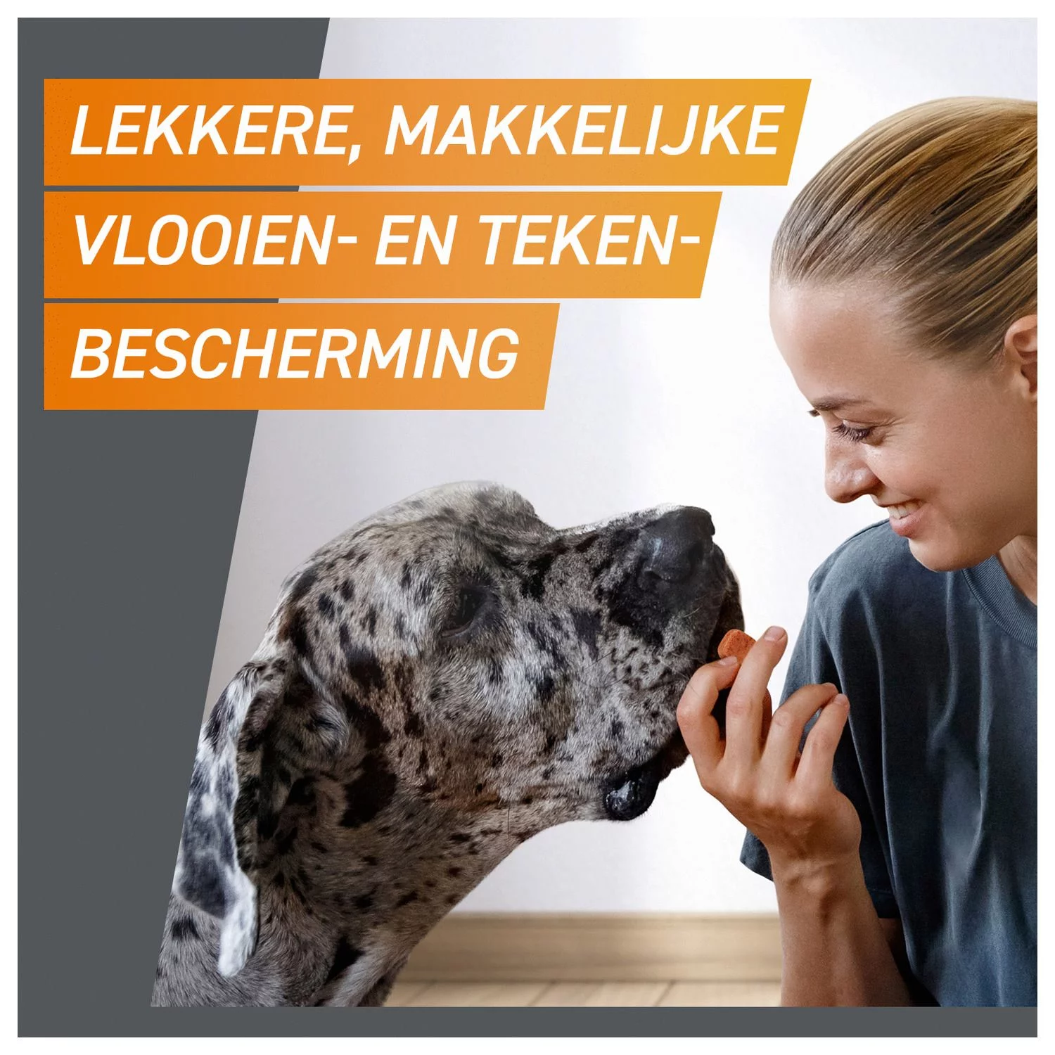 Frontpro Hond - Anti Vlooien En Tekenmiddel - >2-4 Kg Small - Afbeelding 3