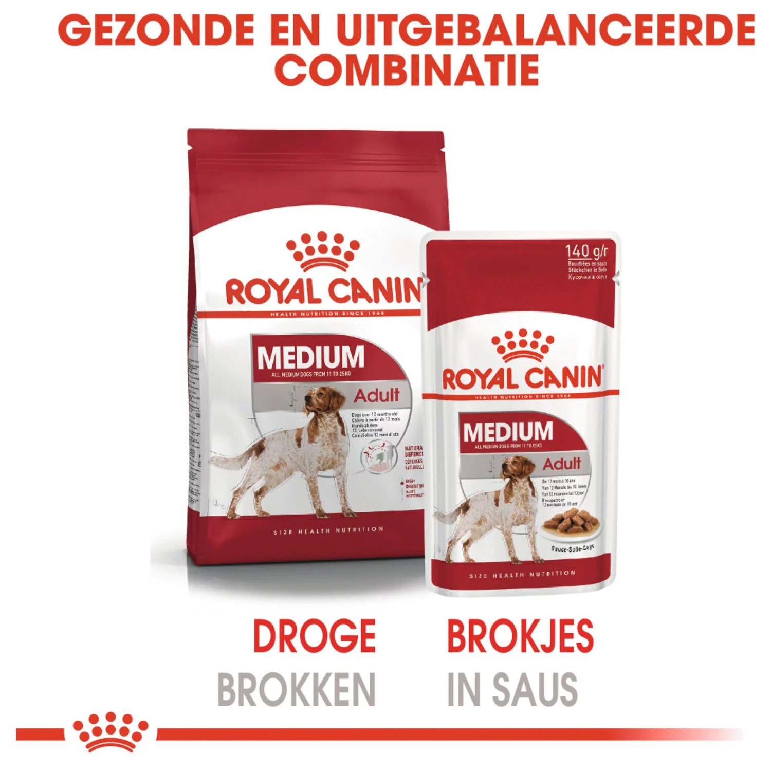 Royal Canin Medium Adult Natvoer - Hondenvoer - 10x140 G - Afbeelding 4