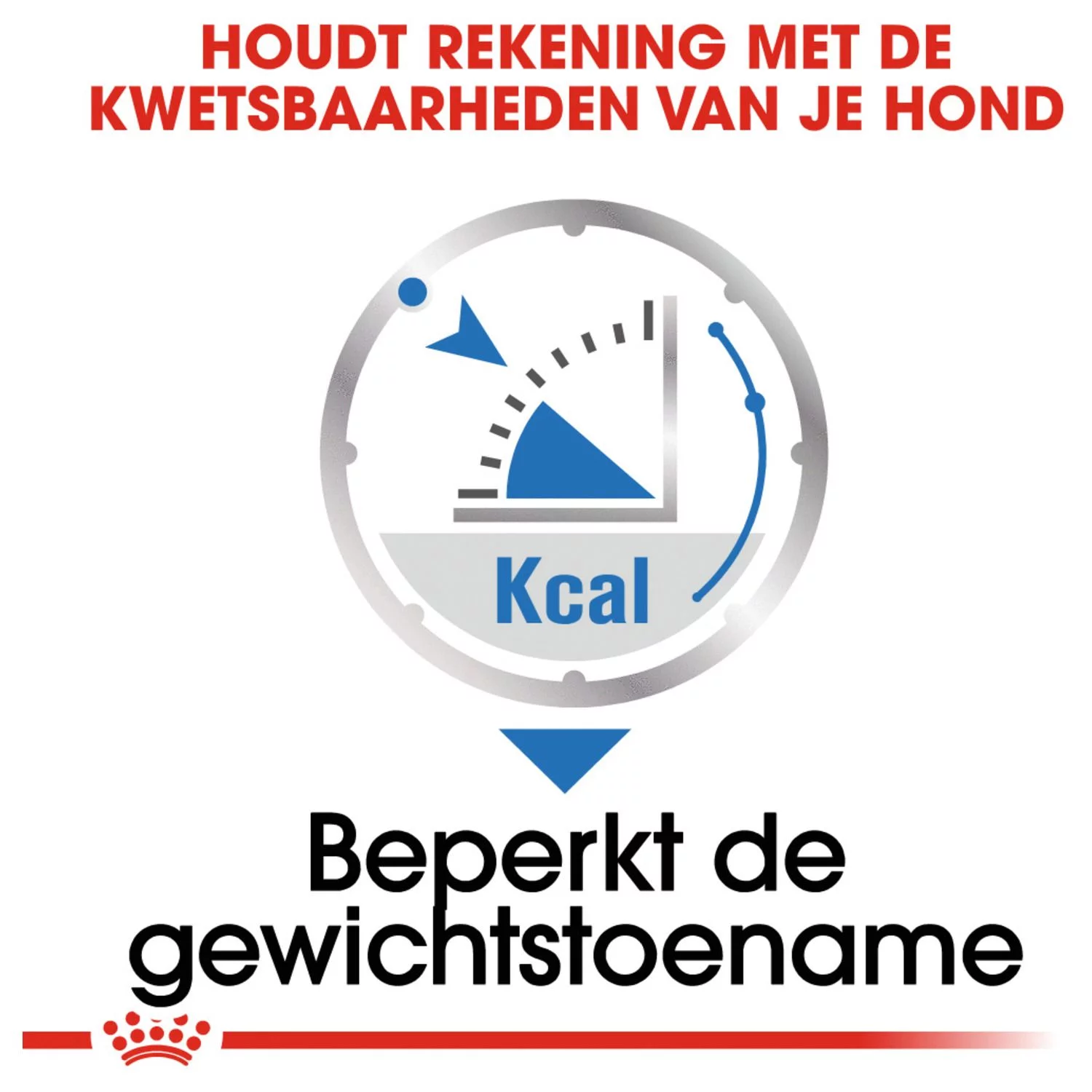 Royal Canin Light Weight Care Natvoer - Hondenvoer - 12x85 G - Afbeelding 4