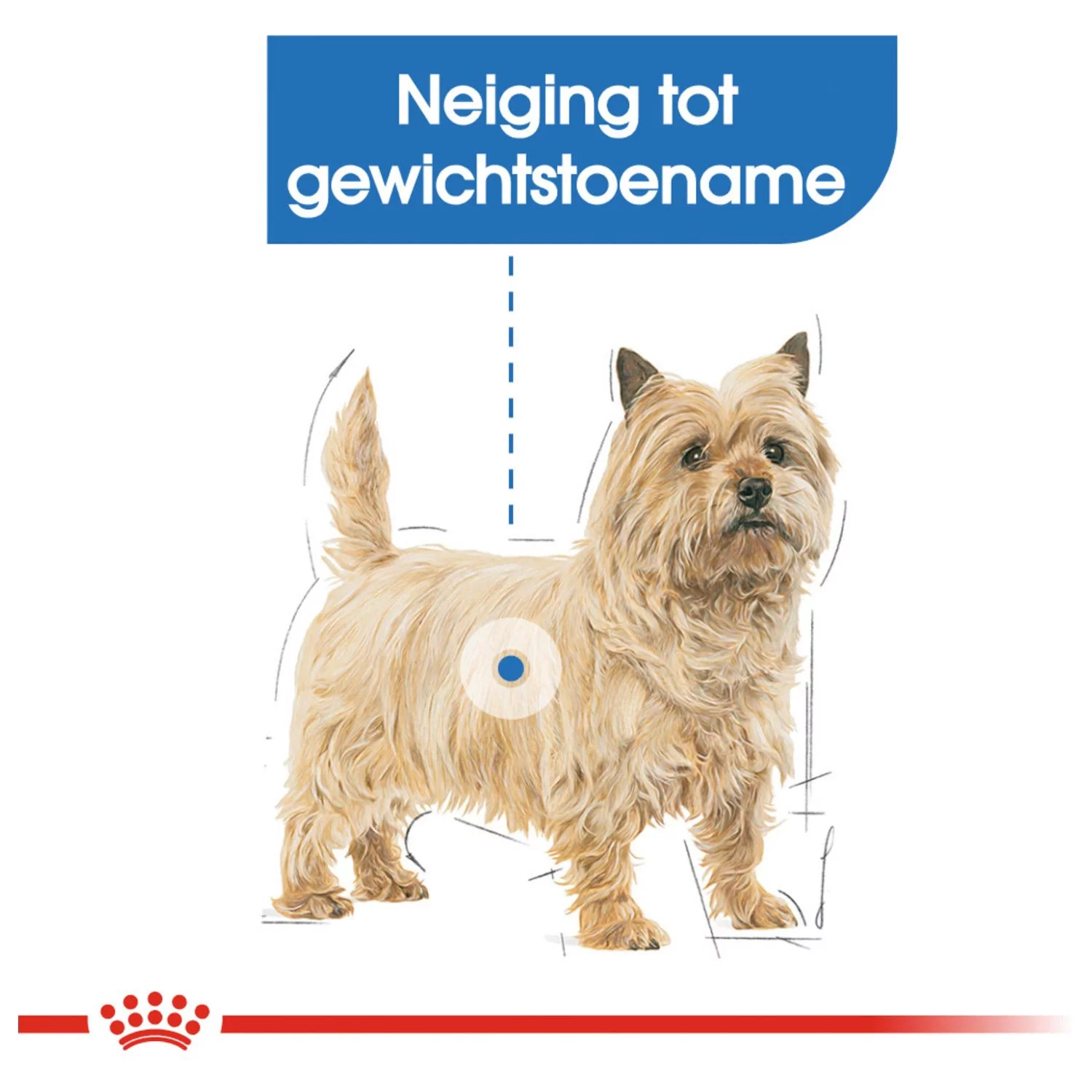 Royal Canin Light Weight Care Natvoer - Hondenvoer - 12x85 G - Afbeelding 2