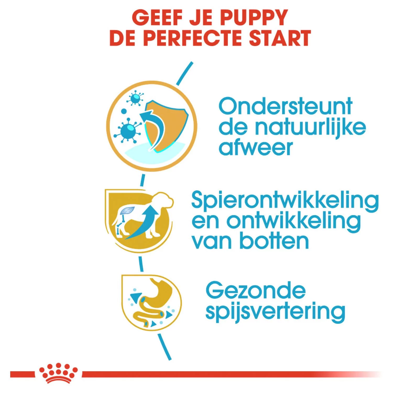 Royal Canin Rottweiler - Puppy-Hondenvoer - 12 Kg - Afbeelding 4