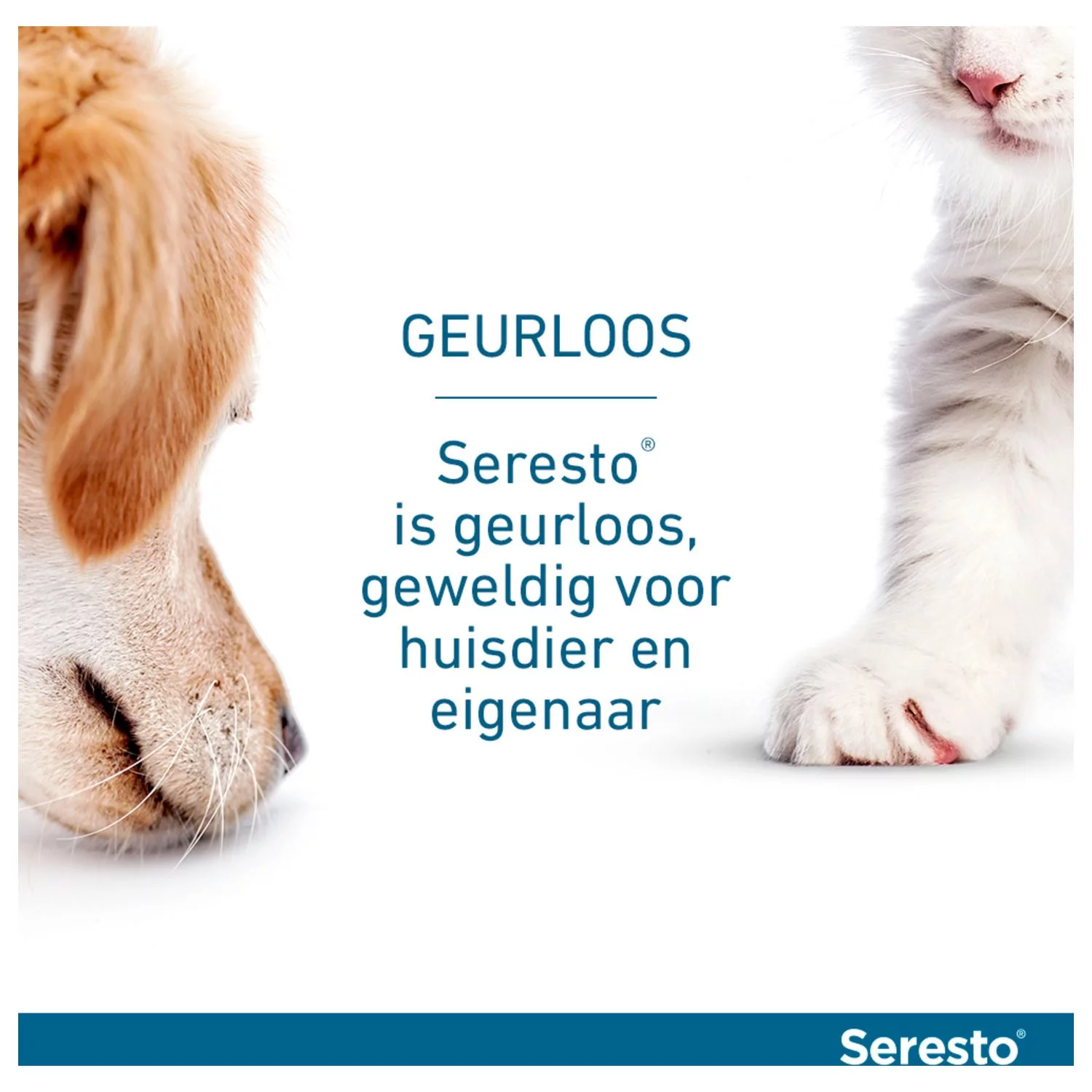 Seresto Teken- En Vlooienband Large - Anti Tekenmiddel - Afbeelding 9