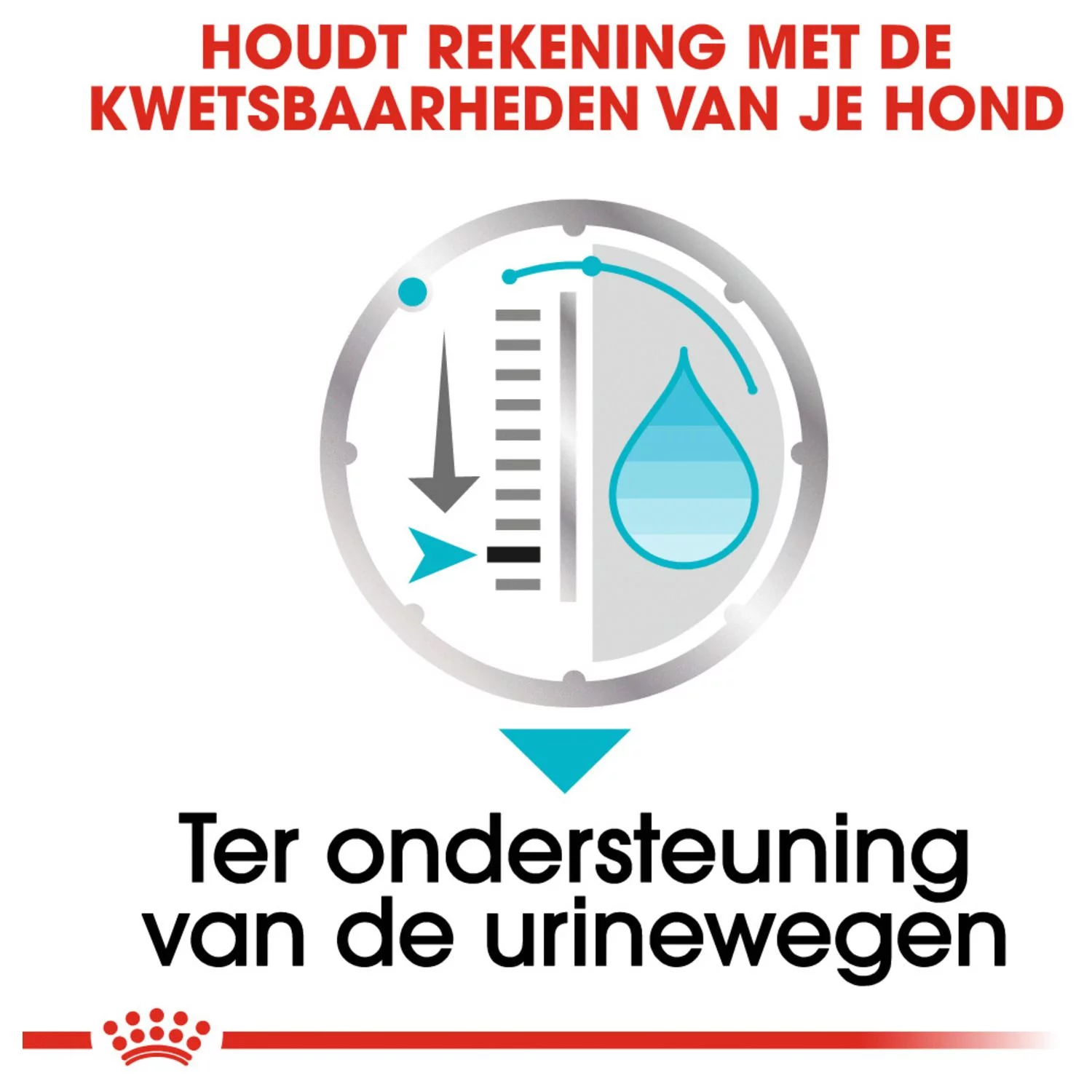 Royal Canin Urinary Care Natvoer - Hondenvoer - 12x85 G - Afbeelding 4