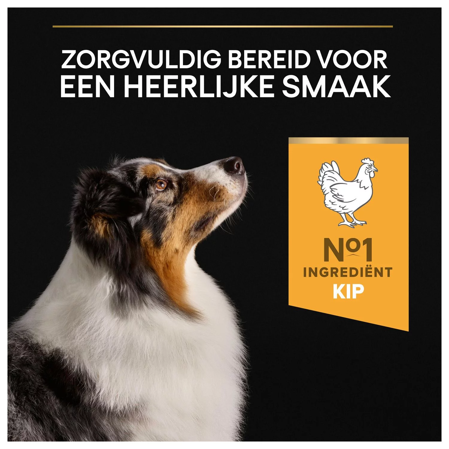 Pro Plan Dog Adult Senior Medium Large - Hondenvoer - Kip 3 Kg - Afbeelding 7