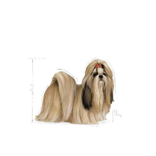 Royal Canin Shih Tzu Adult Natvoer - Hondenvoer - 12x85 G - Afbeelding 3