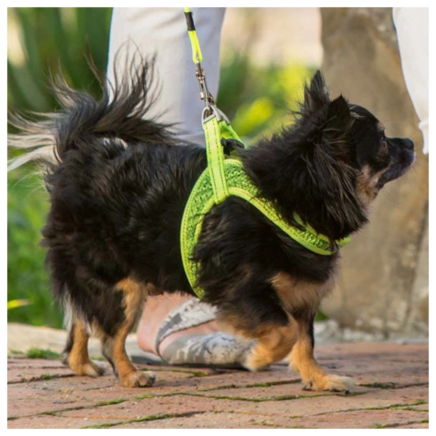 Rogz Utility Fast Fit Tuig Geel - Hondenharnas - Afbeelding 2