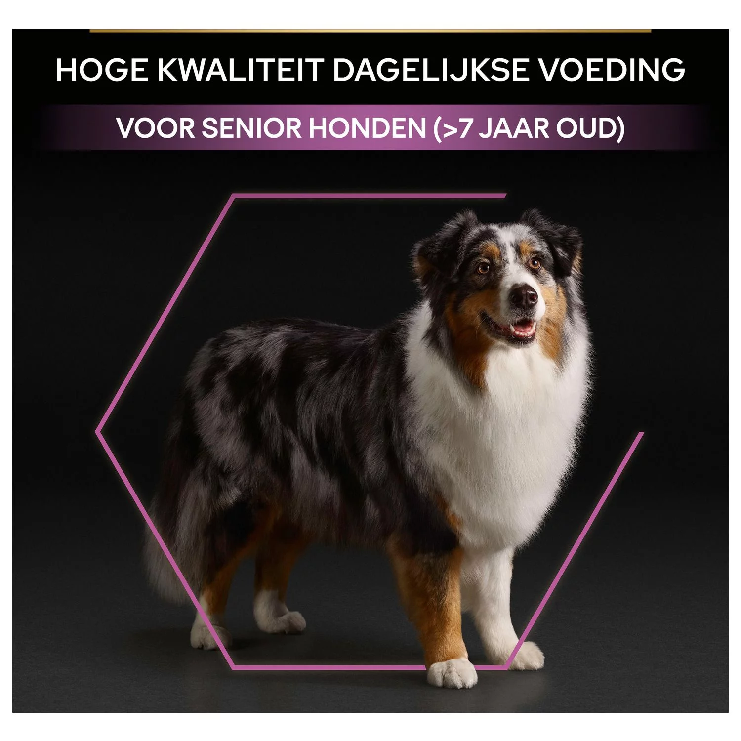 Pro Plan Dog Adult Senior Medium Large - Hondenvoer - Kip 3 Kg - Afbeelding 8