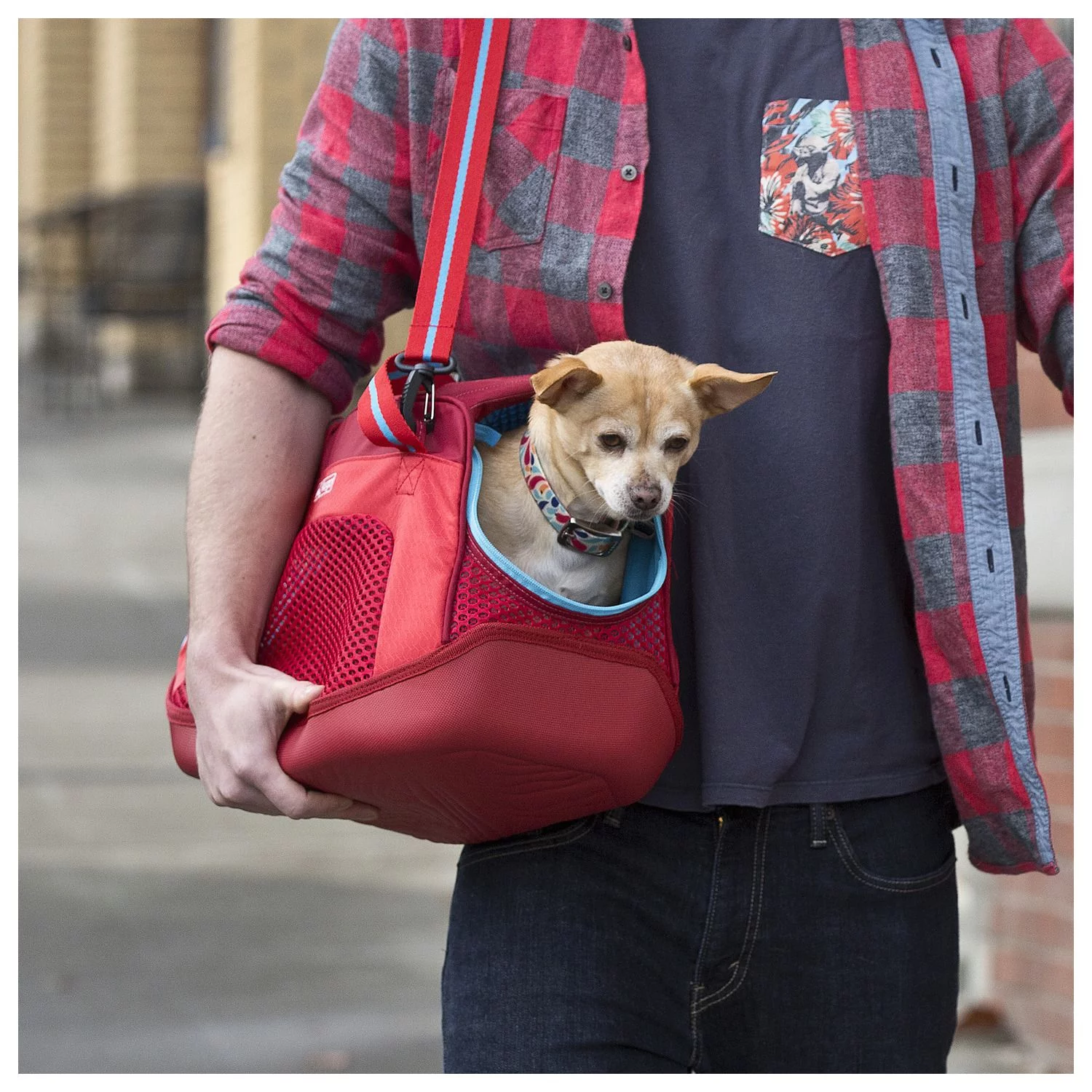 Kurgo Explorer Carrier - Hondenautoaccessoire - 46x25x25 Cm Rood Blauw S - Afbeelding 6