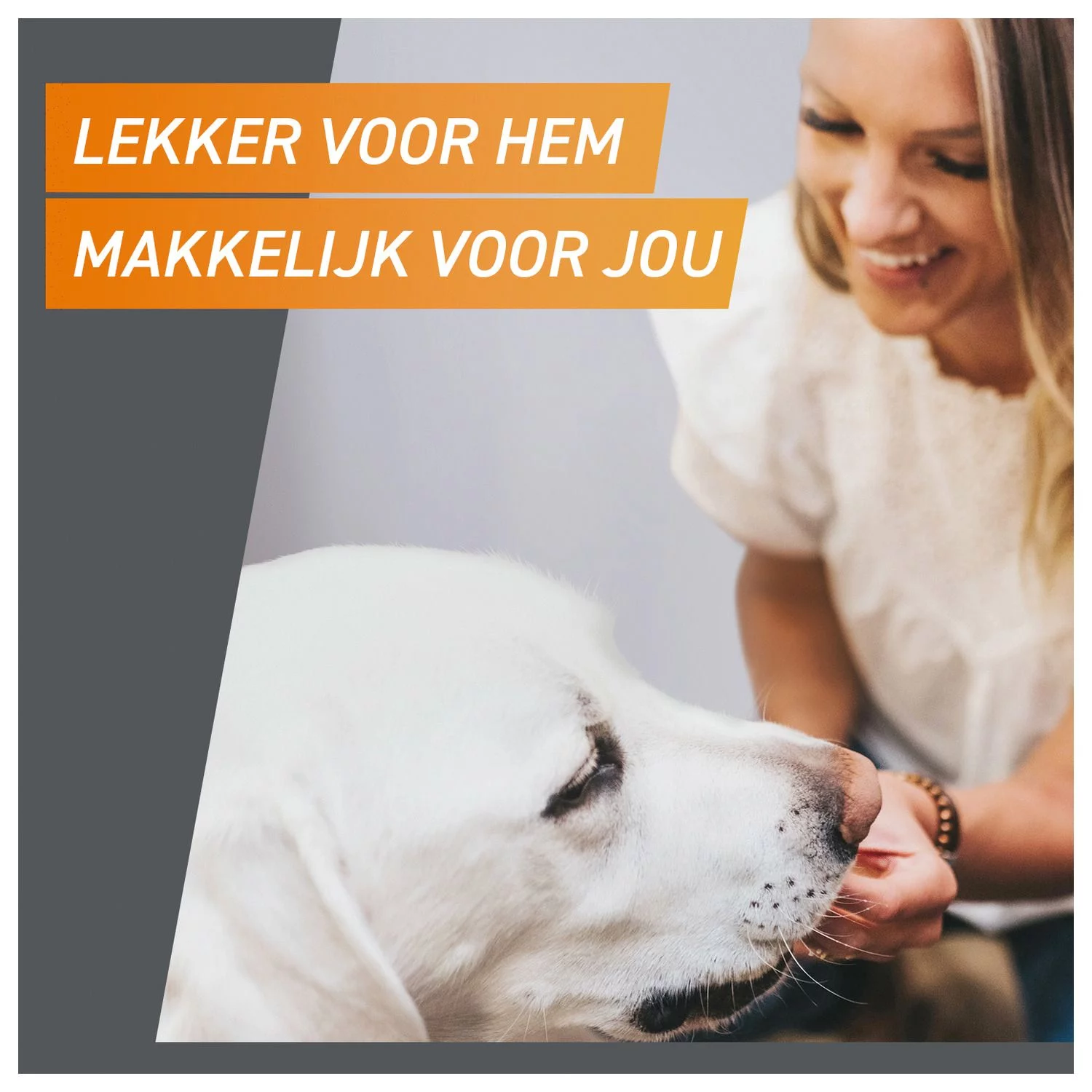 Frontpro Hond - Anti Vlooien En Tekenmiddel - >2-4 Kg Small - Afbeelding 5