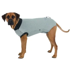 Trixie Operatie-Hesje - Hondenhulpmiddelen - 25 Cm Grijs Xs