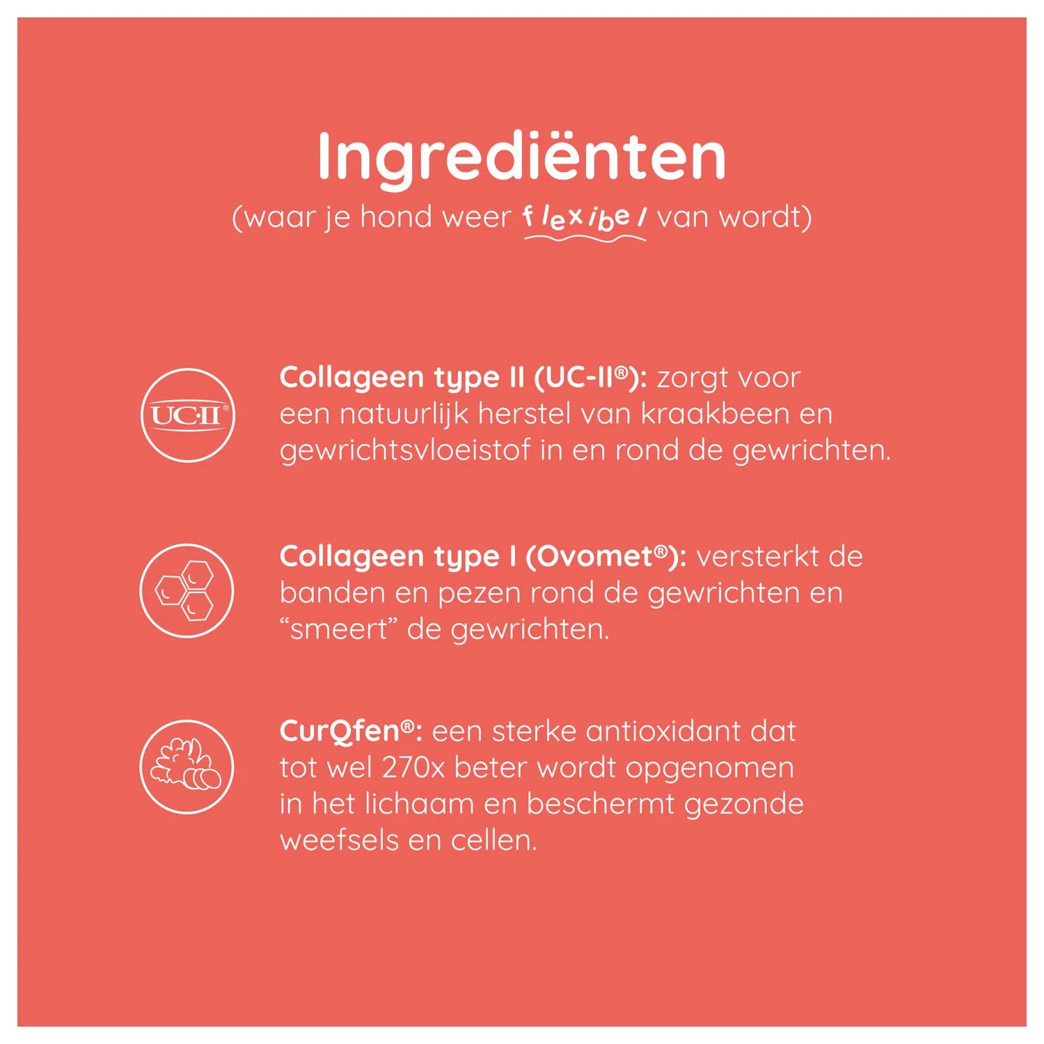 Greenfields Mobility+ - Voedingssupplement - 60 Caps - Afbeelding 2