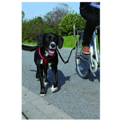 Trixie Fiets Set - Hondenfietsaccessoires -