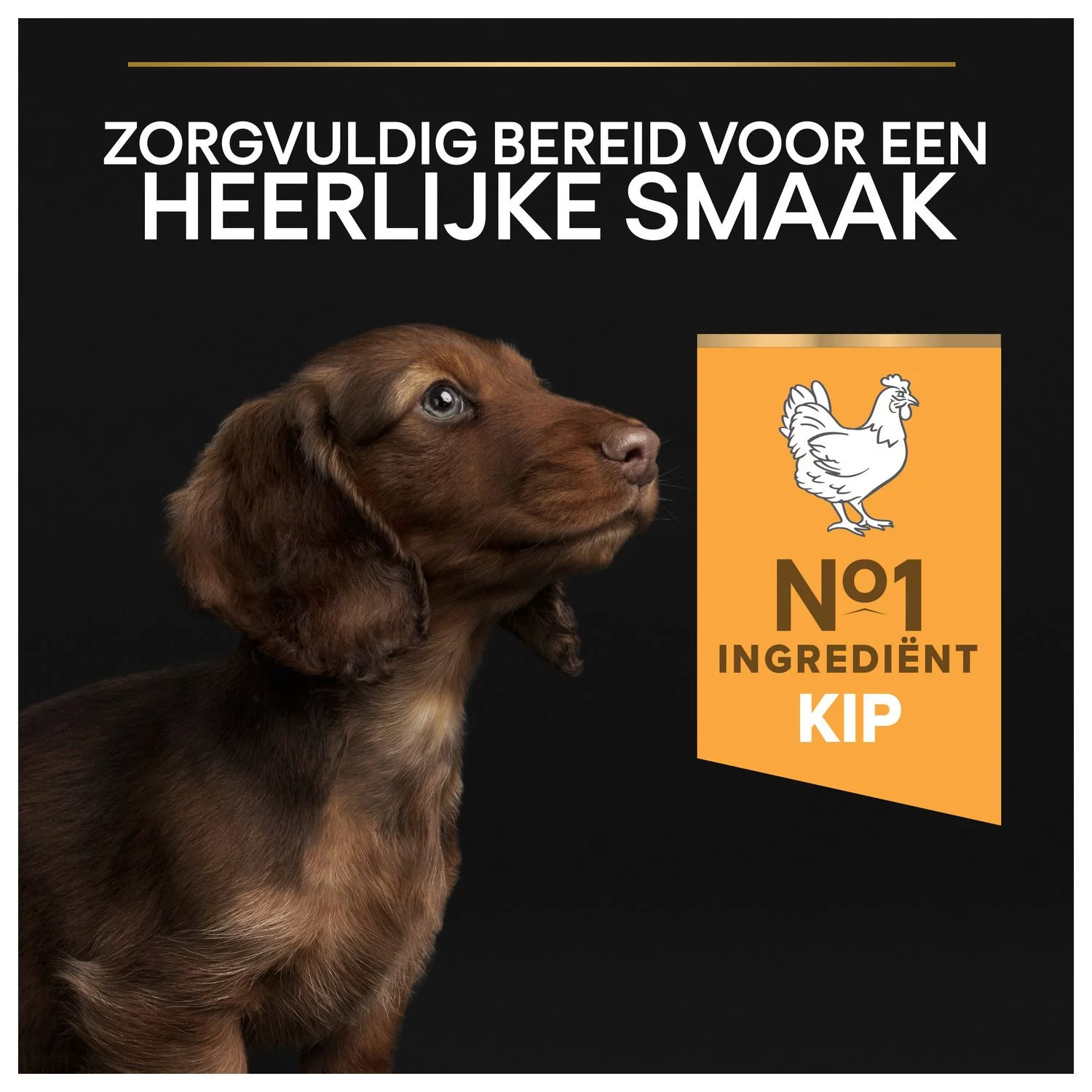 Pro Plan Dog Puppy Small & Mini Breed - Hondenvoer - Kip 3 Kg - Afbeelding 9