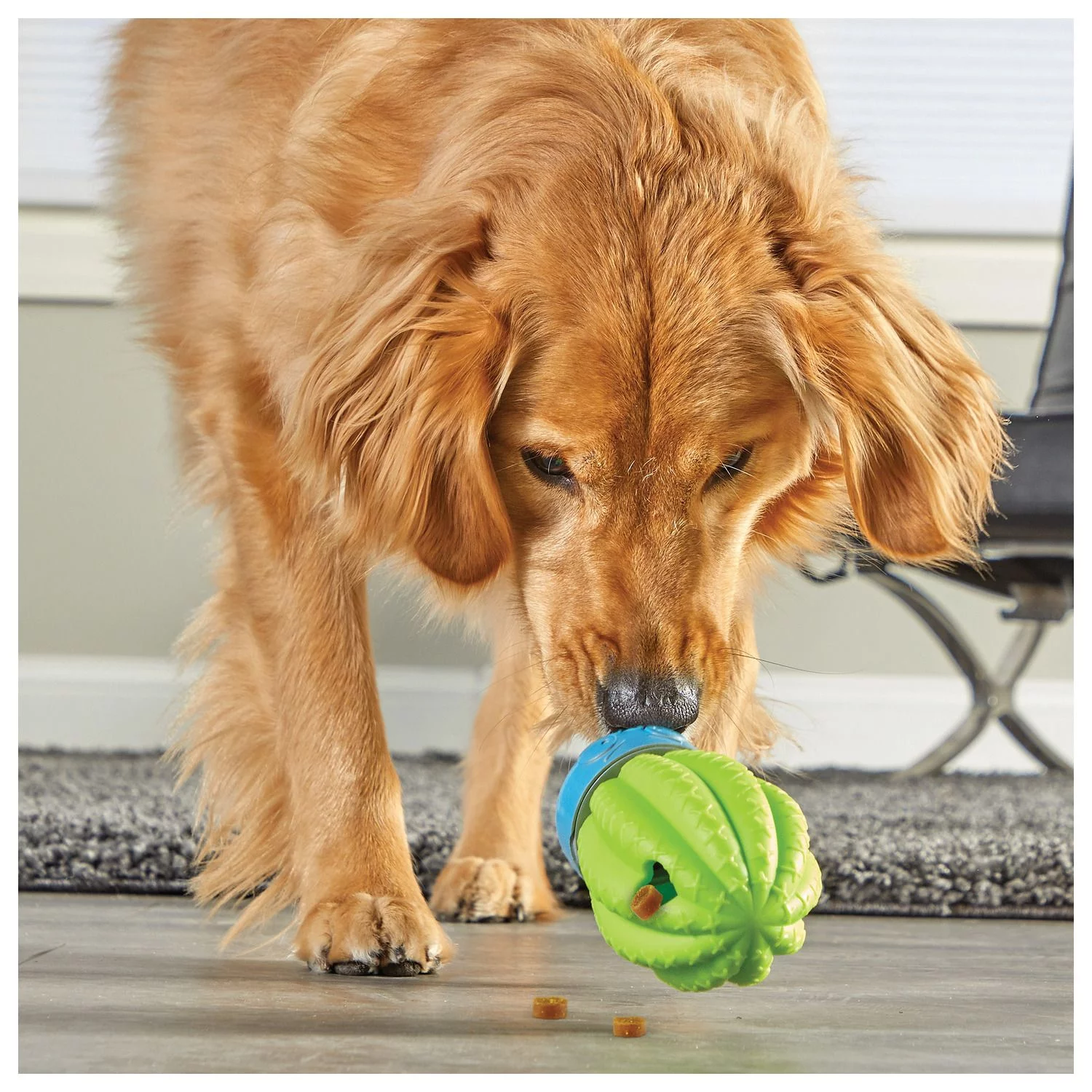 Brightkins Voerspeeltje Cactus - Hondenspeelgoed - Groen Blauw - Afbeelding 3