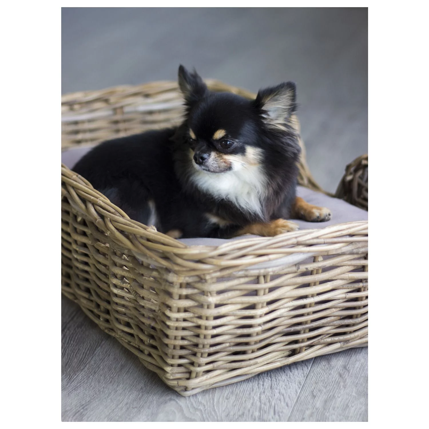 Happy-House Rieten Mand Recht Naturel - Hondenmand - Afbeelding 2