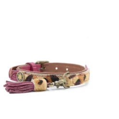 Dwam Halsband Lou Lou Paars - Hondenhalsband