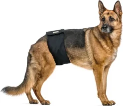 Vetlando Wasbare Luier Voor Reuen Zwart - Hondenzindelijkstraining