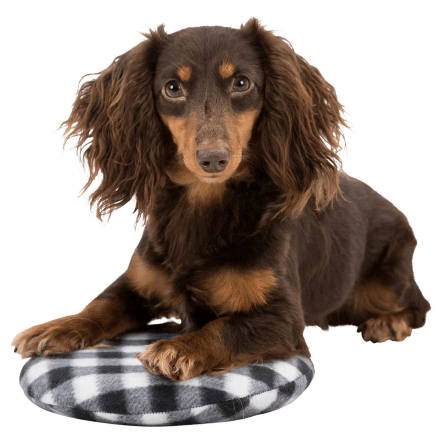 Trixie Warmtekussen Voor De Magnetron - Hondenverzorging - Ø 26 Cm Zwart Wit - Afbeelding 4