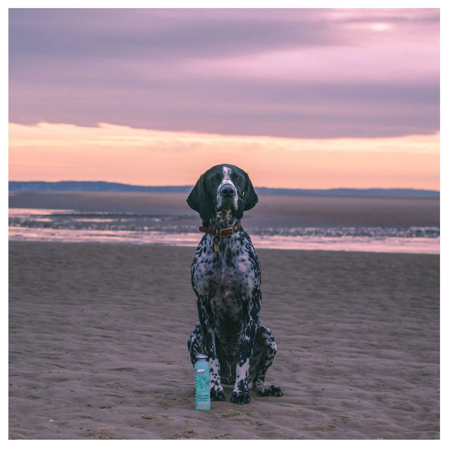 Greenfields Sensitive Care Set - Hondenvachtverzorging - 2x250 Ml - Afbeelding 4