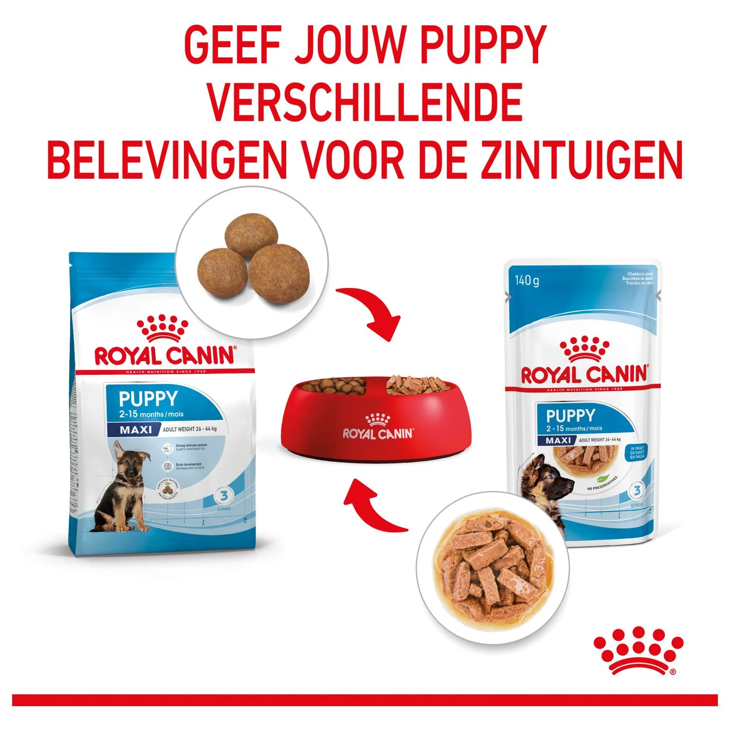 Royal Canin Maxi Natvoer - Puppy-Hondenvoer - 10x140 G - Afbeelding 5