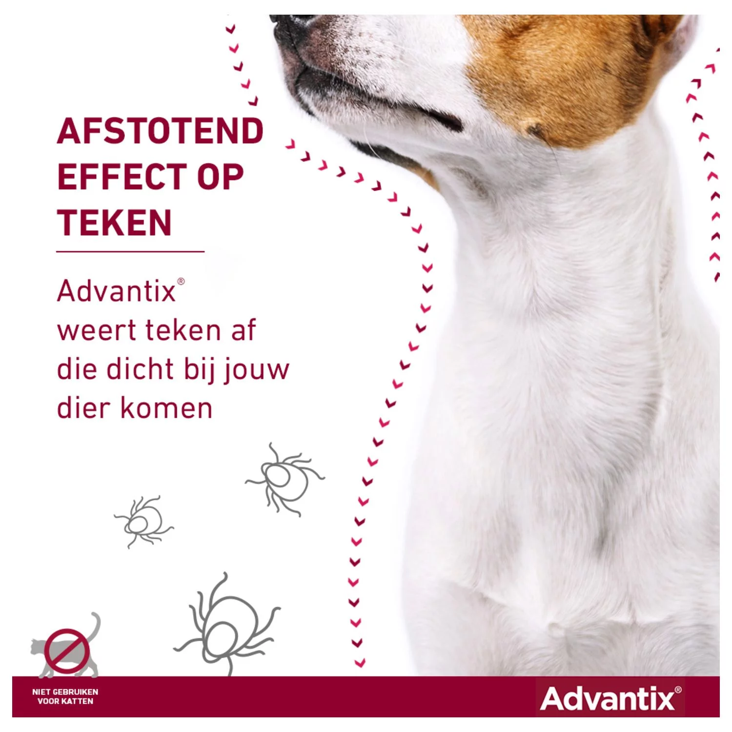 Advantix Spot On 40 0.4 Ml - Anti Vlooien En Tekenmiddel - Afbeelding 10