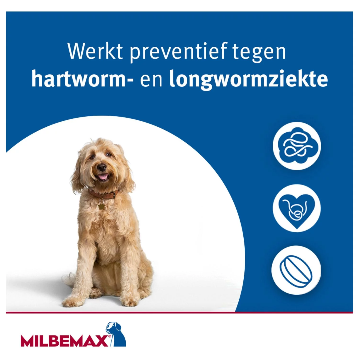 Milbemax Milbemax Hond - Anti Wormenmiddel - 2 Tab 10-50kg - Afbeelding 6