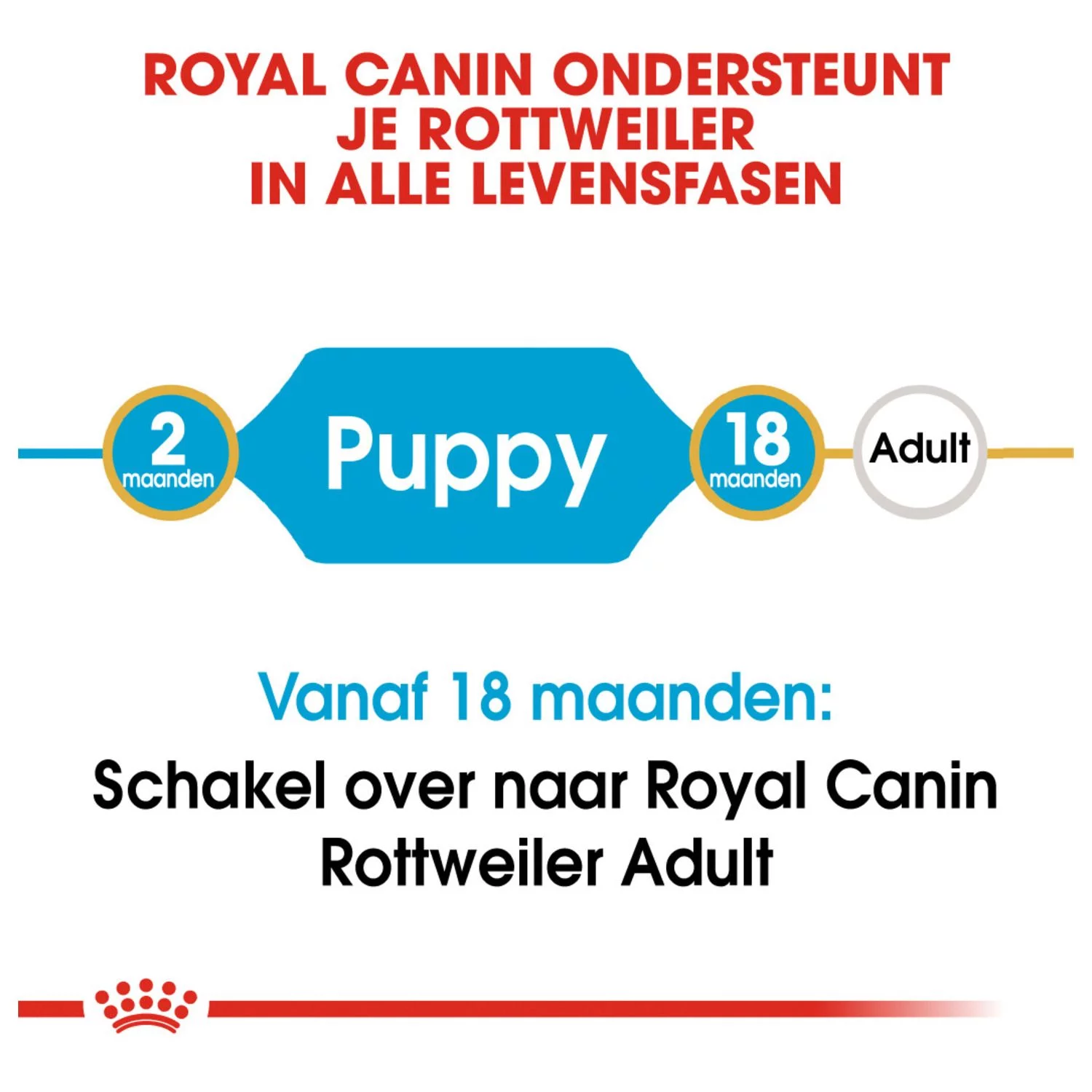 Royal Canin Rottweiler - Puppy-Hondenvoer - 12 Kg - Afbeelding 8